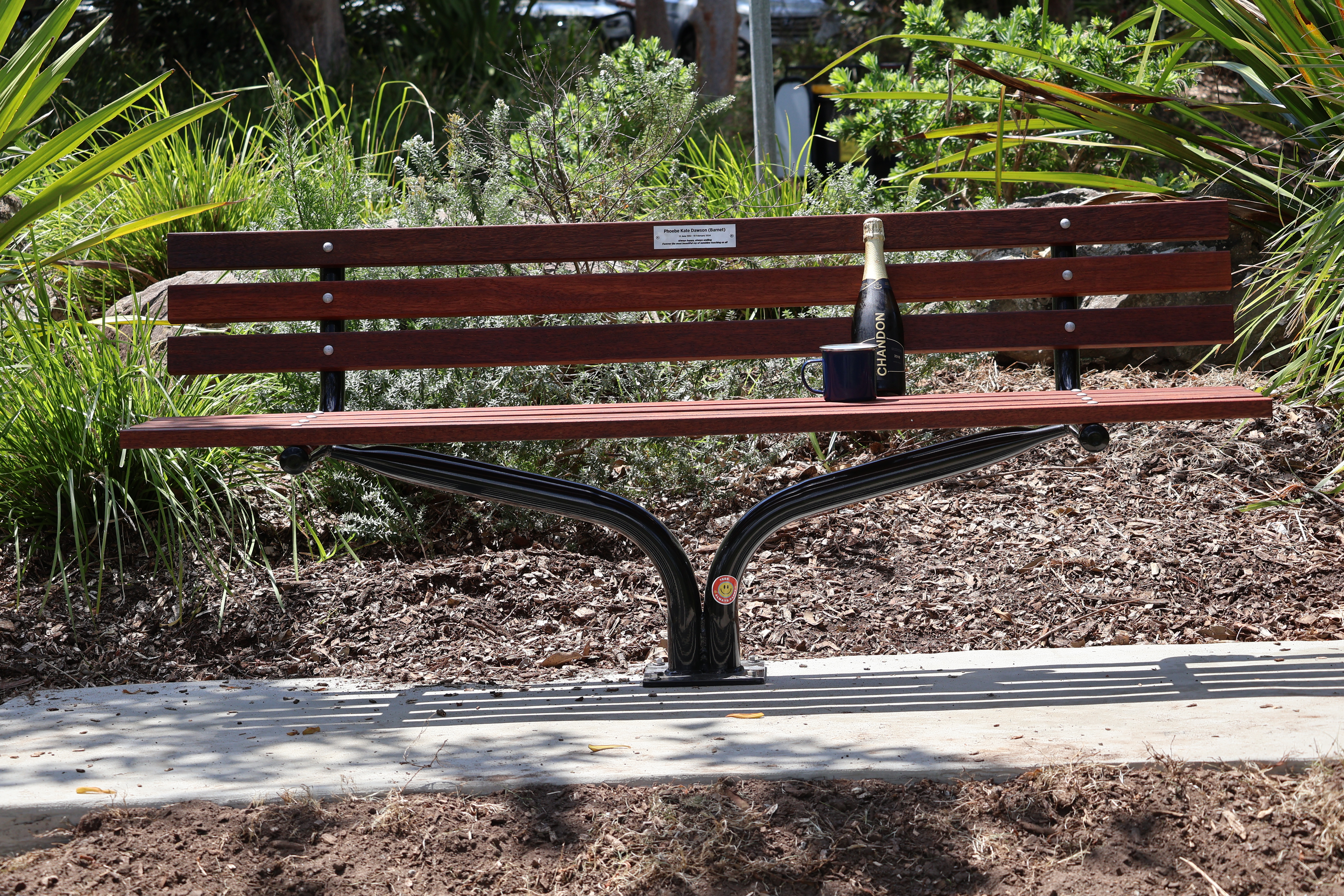 Phoebe's Memorial Bench at Little Manly